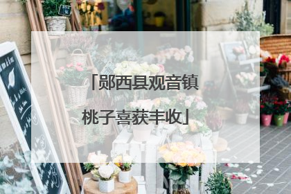郧西县观音镇桃子喜获丰收