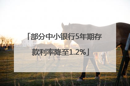 部分中小银行5年期存款利率降至1.2%