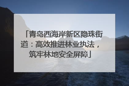 青岛西海岸新区隐珠街道：高效推进林业执法，筑牢林地安全屏障