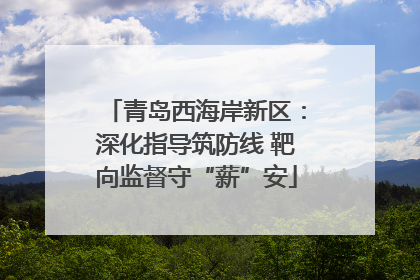 青岛西海岸新区：深化指导筑防线 靶向监督守“薪”安