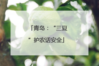 青岛：“三夏”护农话安全
