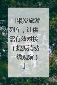 银发旅游列车，让供需有效对接（提振消费一线观察）
