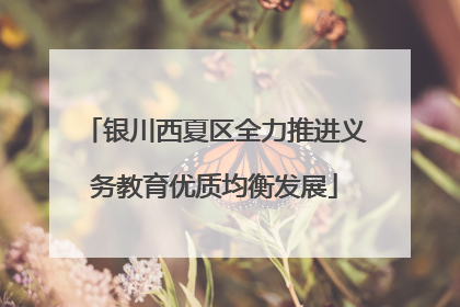 银川西夏区全力推进义务教育优质均衡发展