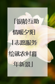银龄互助 情暖夕阳│志愿服务绘就农村暮年新景