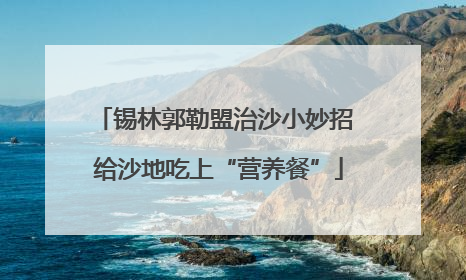 锡林郭勒盟治沙小妙招 给沙地吃上“营养餐”
