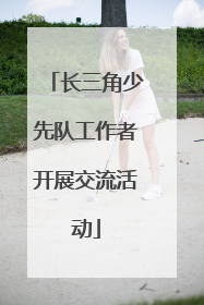 长三角少先队工作者开展交流活动