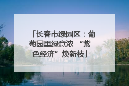长春市绿园区：葡萄园里绿意浓 “紫色经济”焕新枝