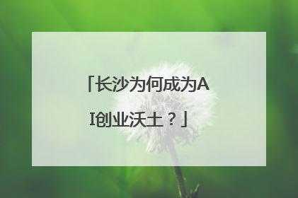 长沙为何成为AI创业沃土？