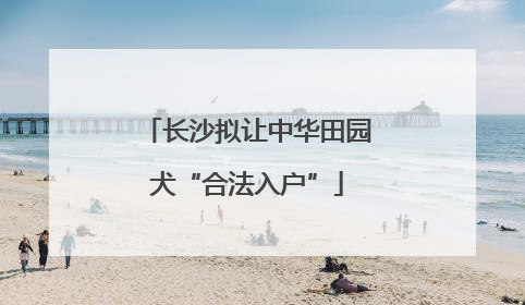 长沙拟让中华田园犬“合法入户”