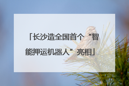 长沙造全国首个“智能押运机器人”亮相