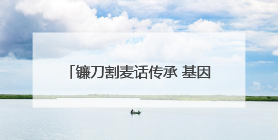 镰刀割麦话传承 基因育种启新程——第十届杨凌小麦文化节见证“颗粒归仓”时空跨越