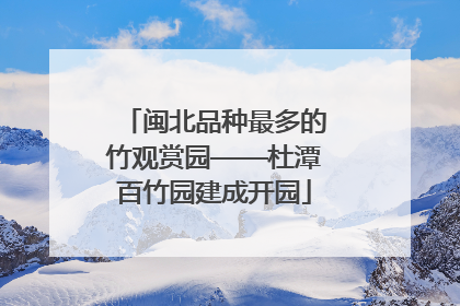 闽北品种最多的竹观赏园——杜潭百竹园建成开园