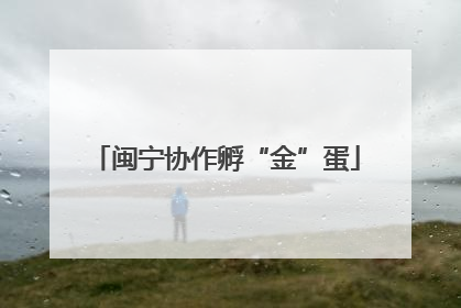 闽宁协作孵“金”蛋