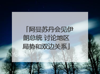 阿曼苏丹会见伊朗总统 讨论地区局势和双边关系