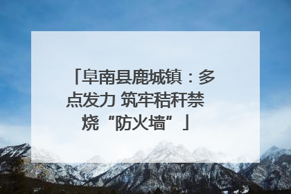 阜南县鹿城镇：多点发力 筑牢秸秆禁烧“防火墙”