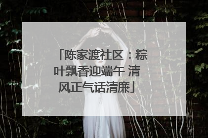 陈家渡社区：粽叶飘香迎端午 清风正气话清廉