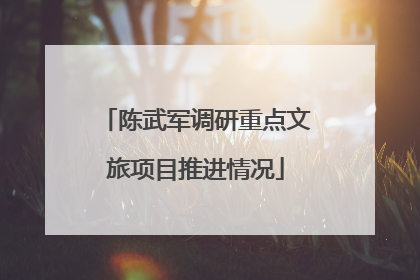 陈武军调研重点文旅项目推进情况