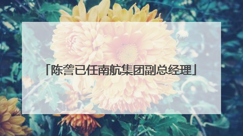 陈詟已任南航集团副总经理