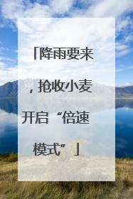 降雨要来，抢收小麦开启“倍速模式”