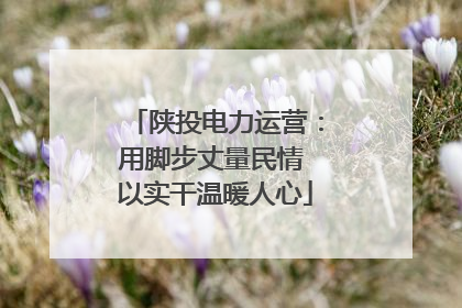 陕投电力运营：用脚步丈量民情 以实干温暖人心
