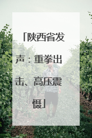 陕西省发声：重拳出击、高压震慑