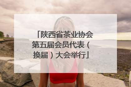 陕西省茶业协会第五届会员代表（换届）大会举行