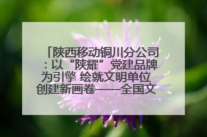 陕西移动铜川分公司：以“陕耀”党建品牌为引擎 绘就文明单位创建新画卷——全国文明单位创建纪实