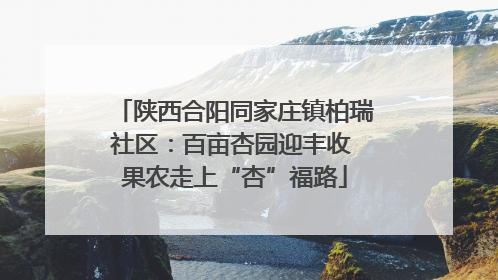 陕西合阳同家庄镇柏瑞社区：百亩杏园迎丰收 果农走上“杏”福路