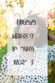 陕西西咸新区守护“绿色精灵”