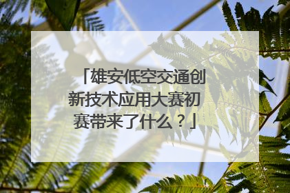雄安低空交通创新技术应用大赛初赛带来了什么？