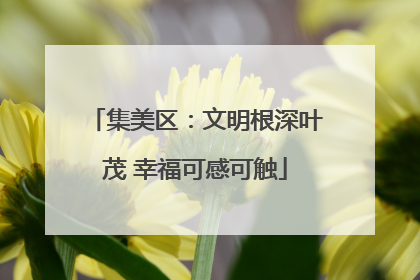 集美区：文明根深叶茂 幸福可感可触