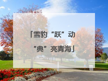 雪豹“跃”动 “典”亮青海
