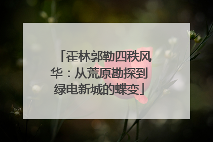 霍林郭勒四秩风华：从荒原勘探到绿电新城的蝶变