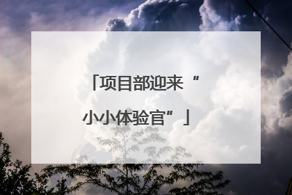 项目部迎来“小小体验官”