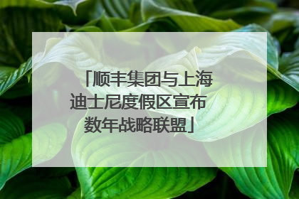 顺丰集团与上海迪士尼度假区宣布数年战略联盟