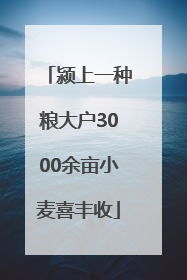 颍上一种粮大户3000余亩小麦喜丰收