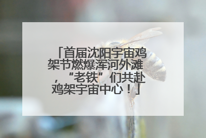 首届沈阳宇宙鸡架节燃爆浑河外滩，“老铁”们共赴鸡架宇宙中心！