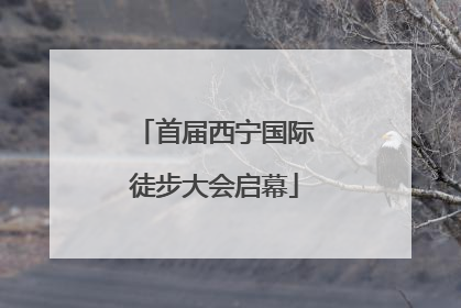 首届西宁国际徒步大会启幕