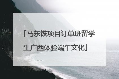 马东铁项目订单班留学生广西体验端午文化