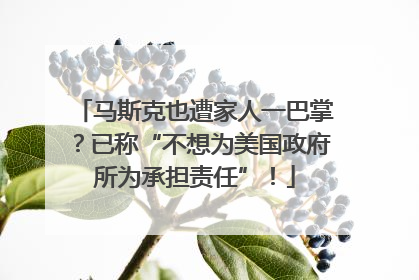 马斯克也遭家人一巴掌？已称“不想为美国政府所为承担责任”！