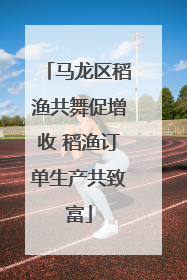 马龙区稻渔共舞促增收 稻渔订单生产共致富