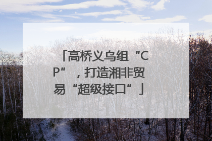 高桥义乌组“CP”，打造湘非贸易“超级接口”