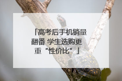 高考后手机销量翻番 学生选购更重“性价比”