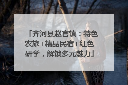 齐河县赵官镇：特色农旅+精品民宿+红色研学，解锁多元魅力