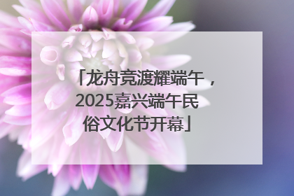 龙舟竞渡耀端午，2025嘉兴端午民俗文化节开幕
