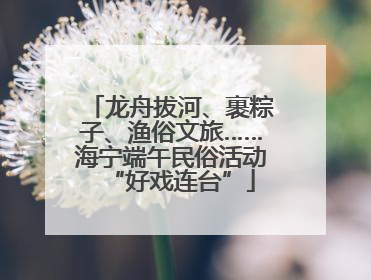 龙舟拔河、裹粽子、渔俗文旅……海宁端午民俗活动“好戏连台”