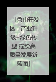 鲁山开发区：产业升级+绿色转型 描绘高质量发展新蓝图
