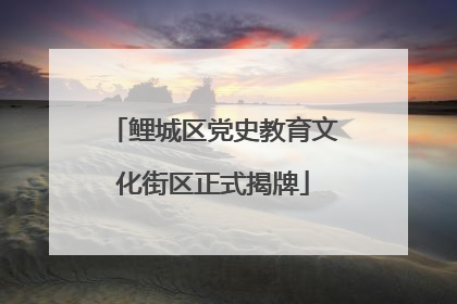 鲤城区党史教育文化街区正式揭牌