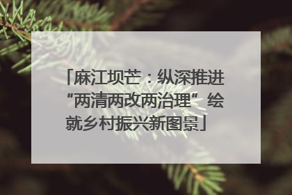 麻江坝芒：纵深推进“两清两改两治理”绘就乡村振兴新图景