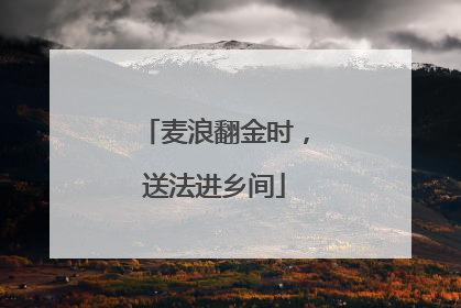 麦浪翻金时，送法进乡间